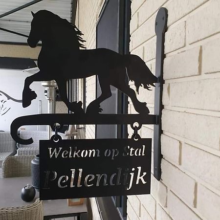 Luxe Gastenkamer Met Living En Keuken Bij Friezen Paarden Stal Pellendijk Westendorp 외부 사진