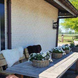 Luxe Gastenkamer Met Living En Keuken Bij Friezen Paarden Stal Pellendijk Westendorp 외부 사진